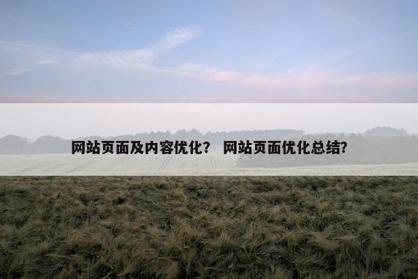 网站页面及内容优化？ 网站页面优化总结？