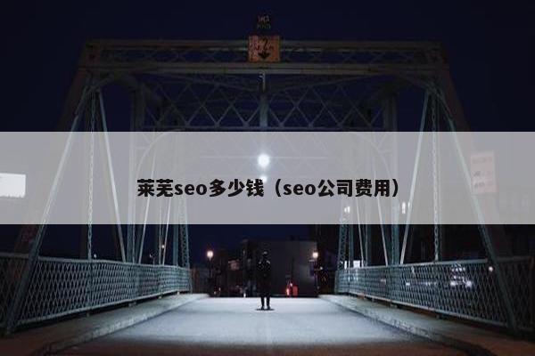 莱芜seo多少钱（seo公司费用）