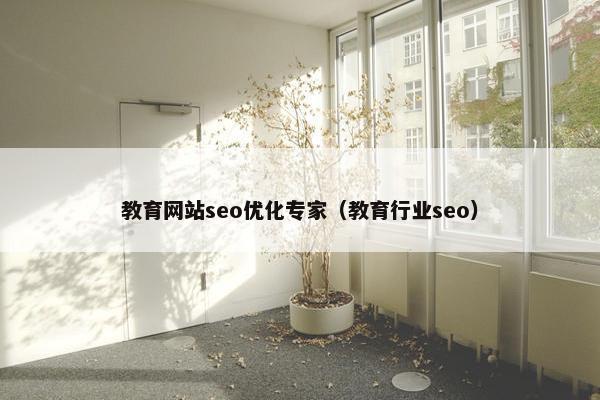 教育网站seo优化专家（教育行业seo）