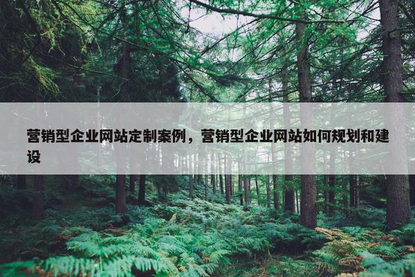 营销型企业网站定制案例，营销型企业网站如何规划和建设