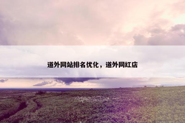 道外网站排名优化，道外网红店