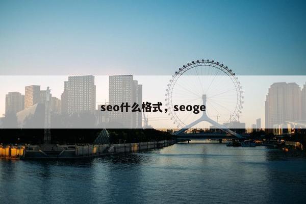 seo什么格式，seoge