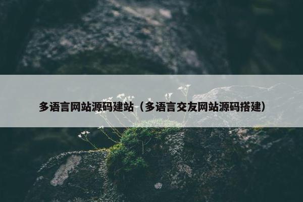 多语言网站源码建站（多语言交友网站源码搭建）
