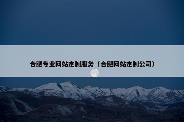 合肥专业网站定制服务（合肥网站定制公司）