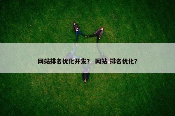 网站排名优化开发？ 网站 排名优化？