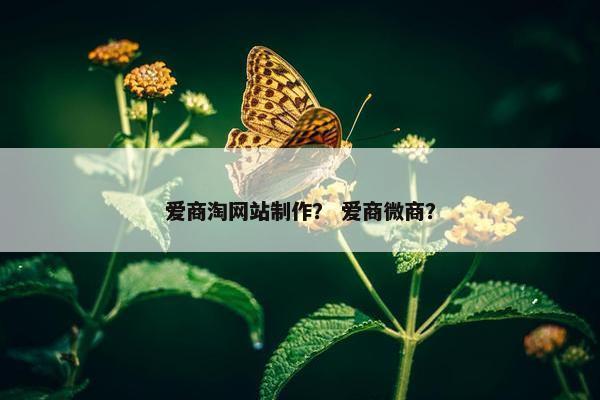 爱商淘网站制作？ 爱商微商？