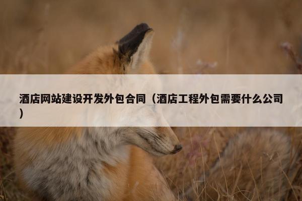 酒店网站建设开发外包合同（酒店工程外包需要什么公司）