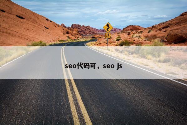 seo代码可，seo js
