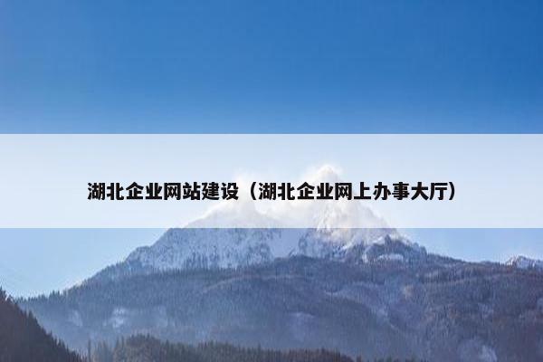 湖北企业网站建设（湖北企业网上办事大厅）