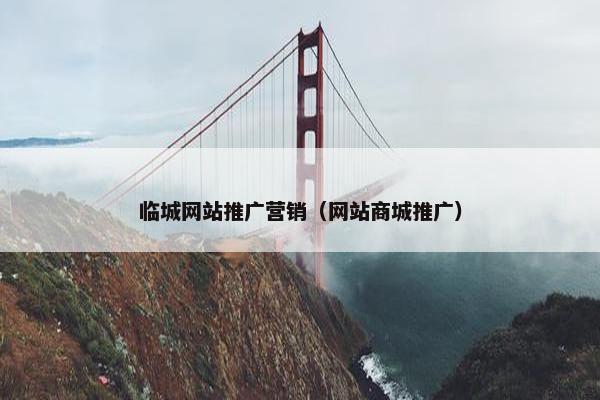 临城网站推广营销（网站商城推广）