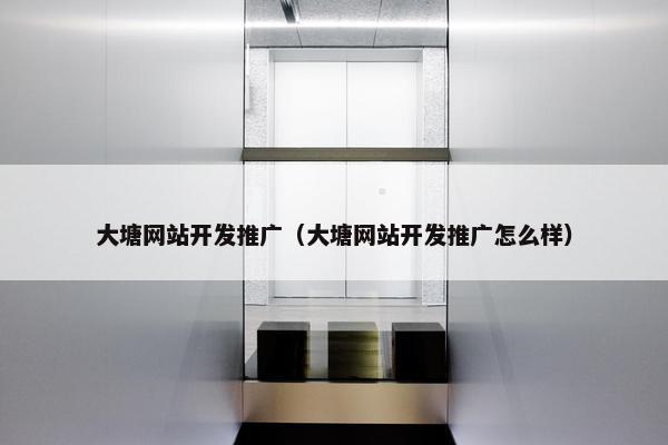 大塘网站开发推广（大塘网站开发推广怎么样）