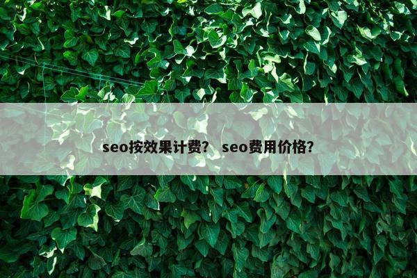 seo按效果计费？ seo费用价格？