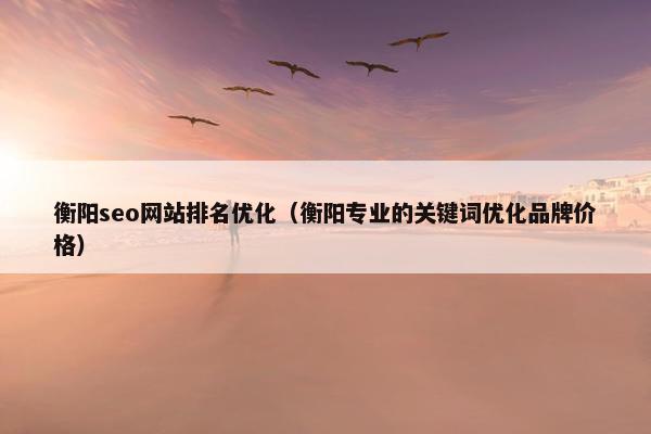 衡阳seo网站排名优化（衡阳专业的关键词优化品牌价格）