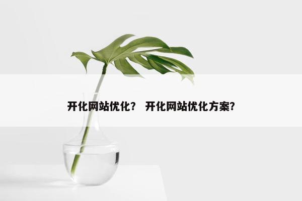 开化网站优化？ 开化网站优化方案？