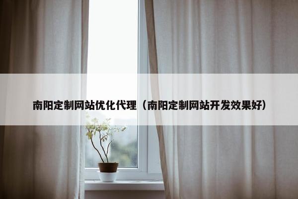 南阳定制网站优化代理（南阳定制网站开发效果好）