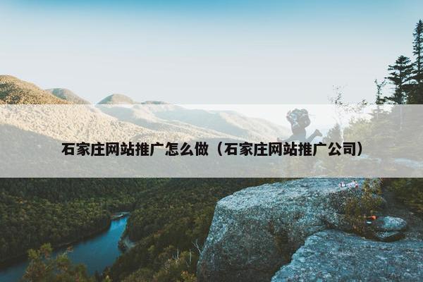 石家庄网站推广怎么做（石家庄网站推广公司）