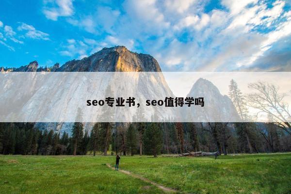 seo专业书，seo值得学吗
