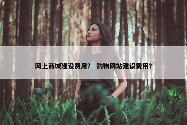 网上商城建设费用？ 购物网站建设费用？