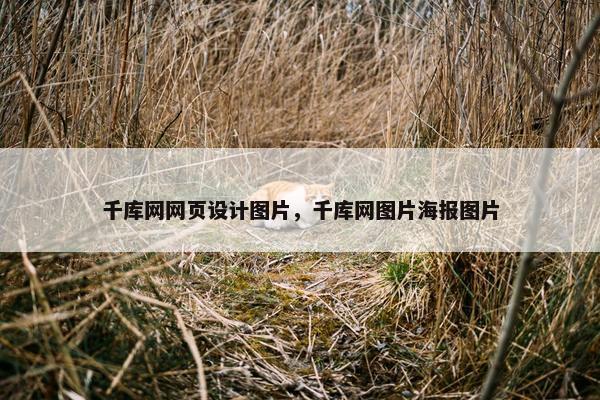 千库网网页设计图片，千库网图片海报图片