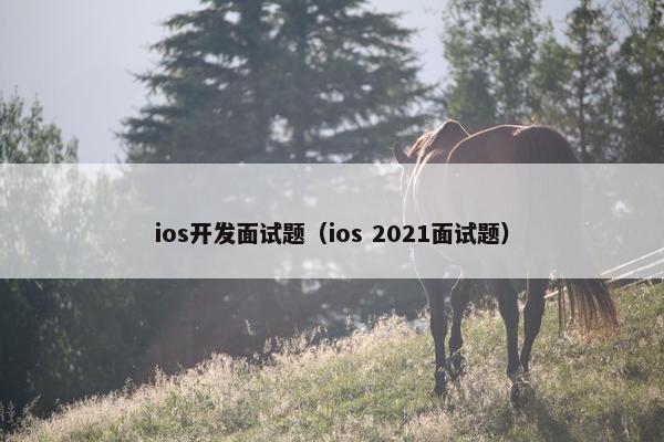 ios开发面试题（ios 2021面试题）