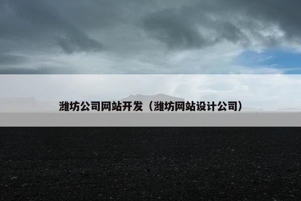 潍坊公司网站开发（潍坊网站设计公司）