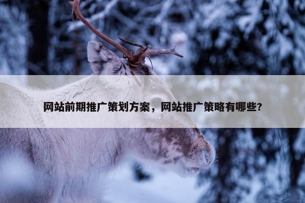 网站前期推广策划方案，网站推广策略有哪些?