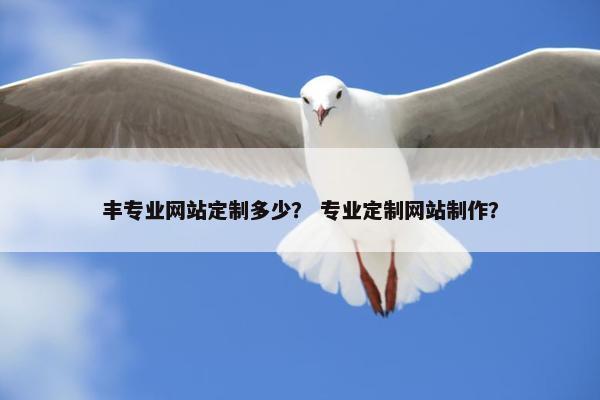 丰专业网站定制多少？ 专业定制网站制作？