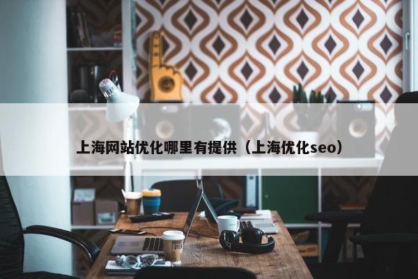 上海网站优化哪里有提供（上海优化seo）