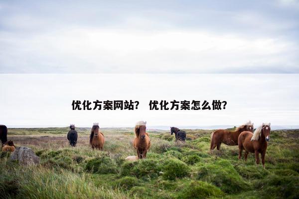 优化方案网站？ 优化方案怎么做？