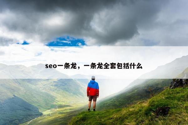 seo一条龙，一条龙全套包括什么
