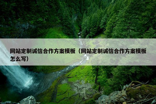 网站定制诚信合作方案模板（网站定制诚信合作方案模板怎么写）