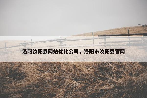 洛阳汝阳县网站优化公司，洛阳市汝阳县官网