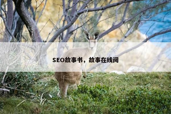 SEO故事书，故事在线阅