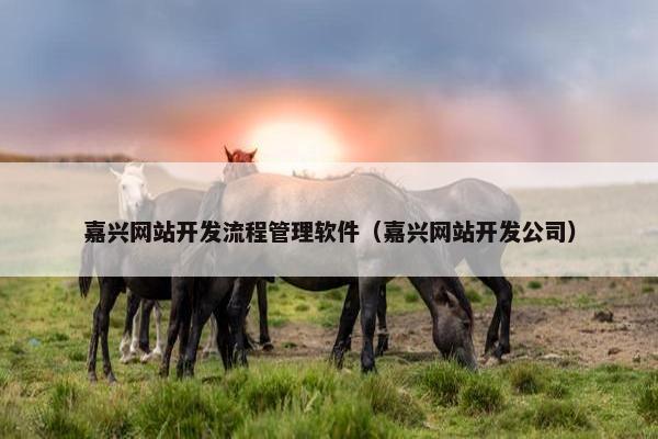 嘉兴网站开发流程管理软件（嘉兴网站开发公司）
