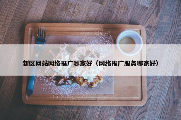 新区网站网络推广哪家好（网络推广服务哪家好）
