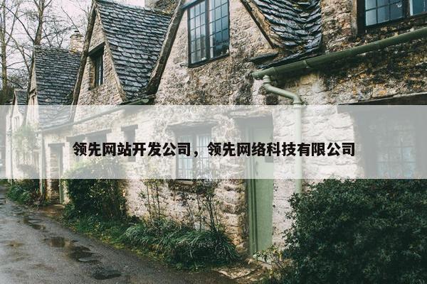 领先网站开发公司，领先网络科技有限公司