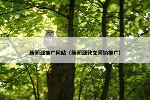 新闻源推广网站（新闻源软文营销推广）