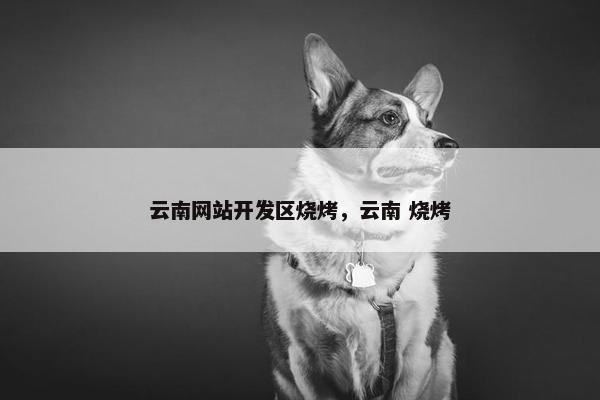 云南网站开发区烧烤，云南 烧烤
