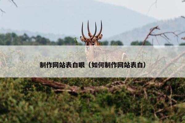制作网站表白眼（如何制作网站表白）