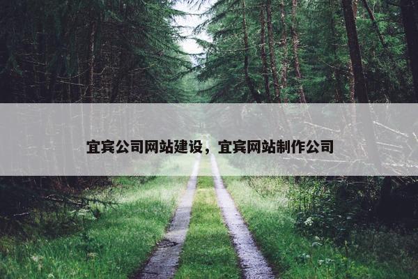 宜宾公司网站建设，宜宾网站制作公司