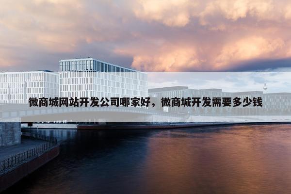 微商城网站开发公司哪家好，微商城开发需要多少钱