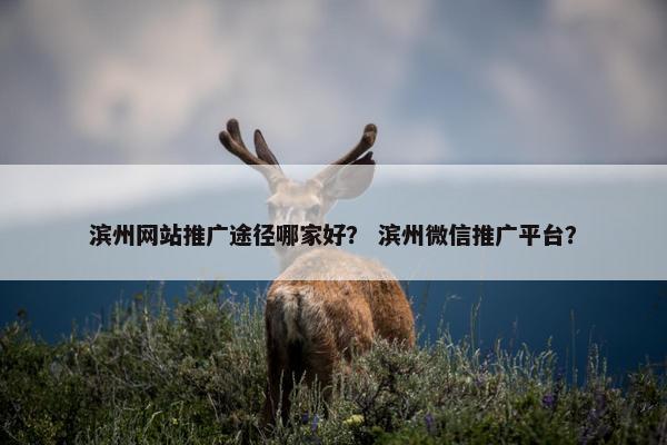 滨州网站推广途径哪家好？ 滨州微信推广平台？