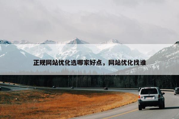 正规网站优化选哪家好点，网站优化找谁