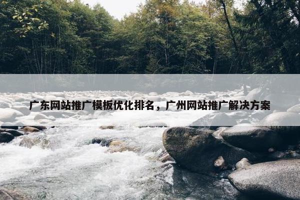 广东网站推广模板优化排名，广州网站推广解决方案
