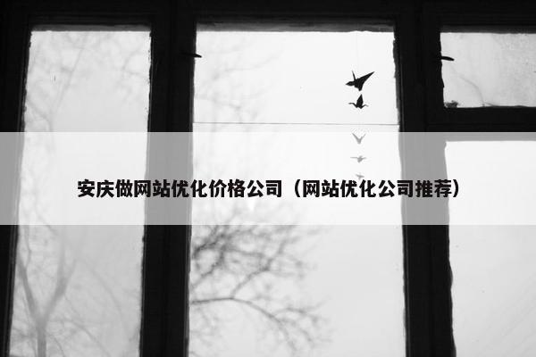 安庆做网站优化价格公司（网站优化公司推荐）