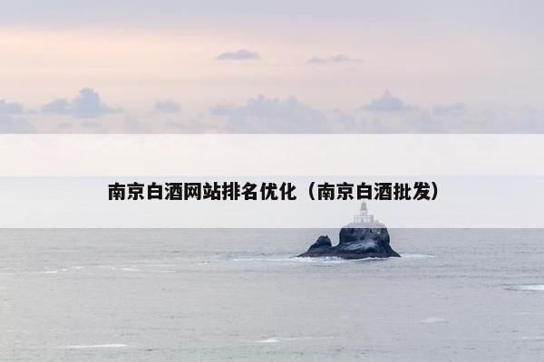南京白酒网站排名优化（南京白酒批发）