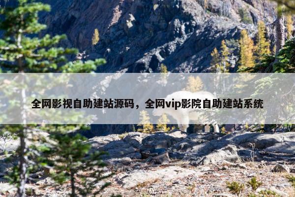 全网影视自助建站源码，全网vip影院自助建站系统