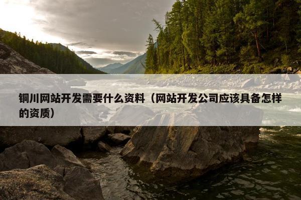 铜川网站开发需要什么资料（网站开发公司应该具备怎样的资质）