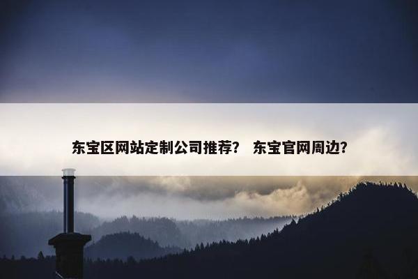 东宝区网站定制公司推荐？ 东宝官网周边？