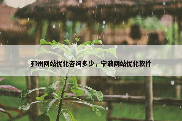 鄞州网站优化咨询多少，宁波网站优化软件